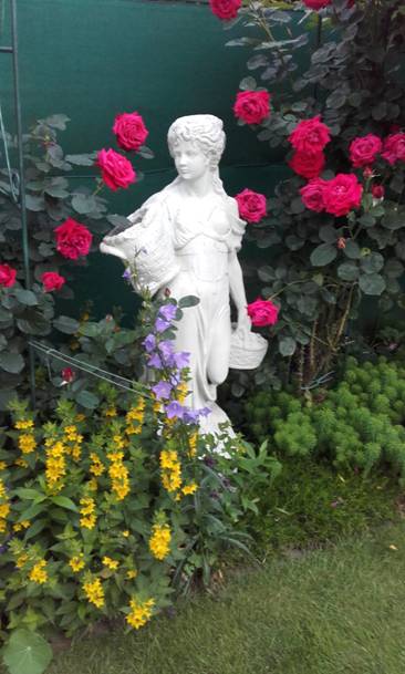 image007.jpg
