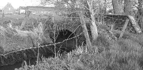 image011.jpg