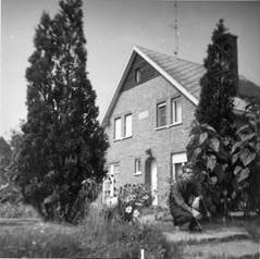 Afbeelding met buiten, boom, lucht, huis

Automatisch gegenereerde beschrijving