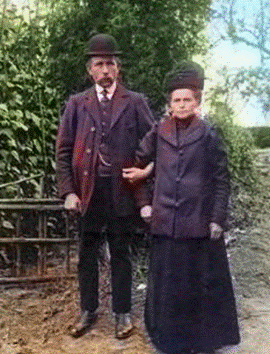 image100.gif