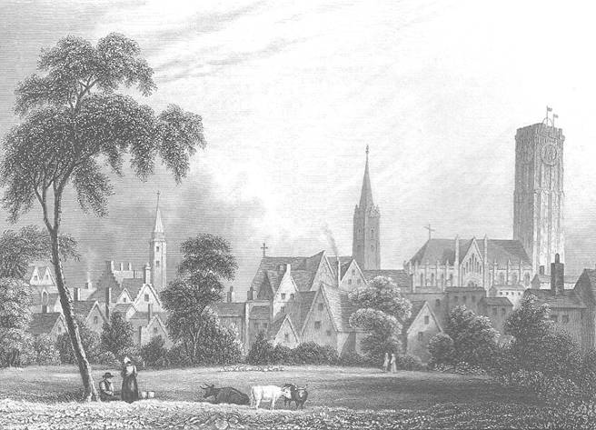 image003.jpg
