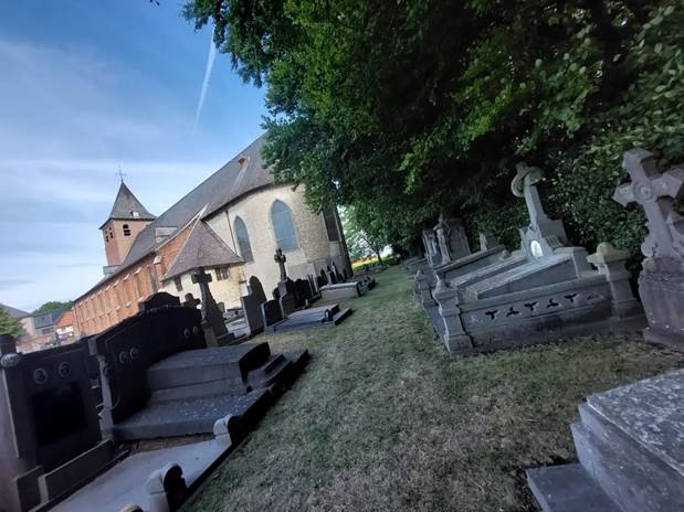 Afbeelding met boom, buiten, gras, oud
Automatisch gegenereerde beschrijving