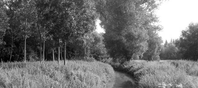 image013.jpg