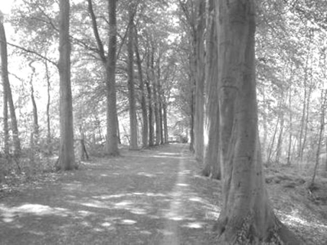 image014.jpg