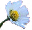 image006.jpg