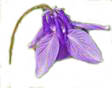 image012.jpg