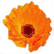 image014.jpg