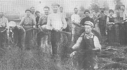 image100.gif