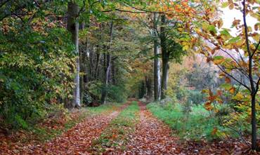 image010.jpg