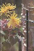 image010.jpg