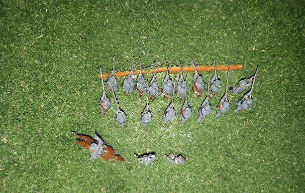 image012.jpg